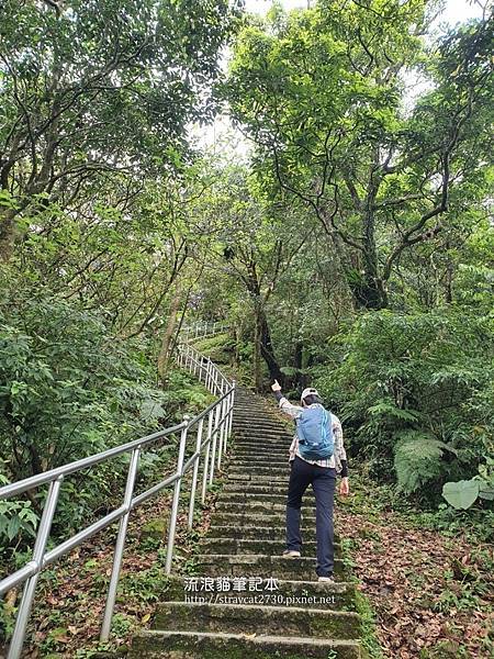 新北大尖山09-沿途石階