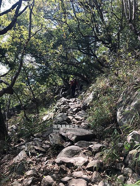 谷關七雄-東卯山13-快到山頂的1公里路段，有許多石頭