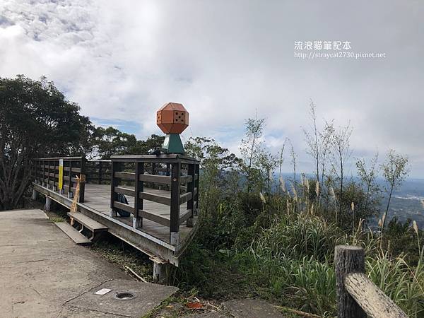 新竹大崎棟步道34.jpg