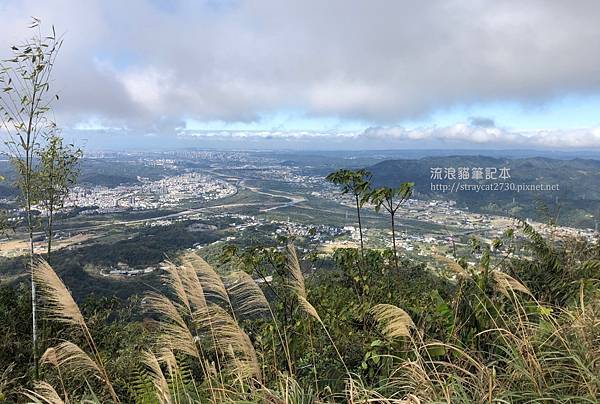 新竹大崎棟步道35.jpg