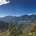 谷關七雄-唐麻丹山16-一段無遮蔽，可看見對面連綿山峰