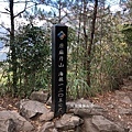 谷關七雄-唐麻丹山20-唐麻丹山三角點，1305公尺，裡冷登山口一路陡上，由松鶴登山口比較平緩