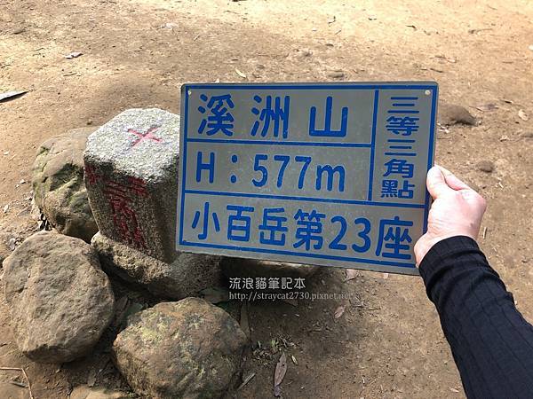 小百岳-桃園溪洲山21-溪洲山577m三角點