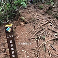 馬崙山pixnet14-3.5K，走了一半路程