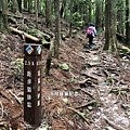 馬崙山pixnet16.jpg