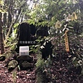 馬崙山pixnet21-步道旁一棵樹頭邊放著醫藥箱，提供給需要的山友