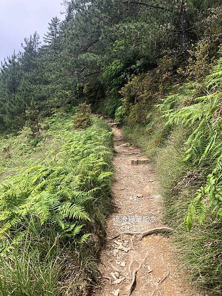 雪山東峰11.jpg