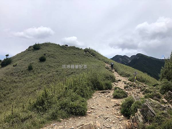 雪山東峰31.jpg