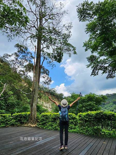 【台灣小百岳】聚興山-新田登山步道08.jpg