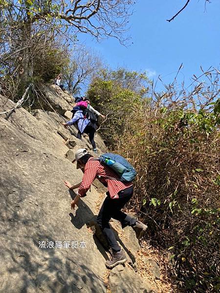 【台灣小百岳】旗尾山-旗靈縱走11.jpg