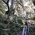 庫哈諾辛山12-抵達庫哈諾辛山山屋前全部為階梯，據統計約有超過四千個階梯