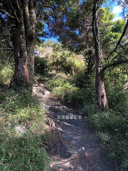 庫哈諾辛山35.jpg