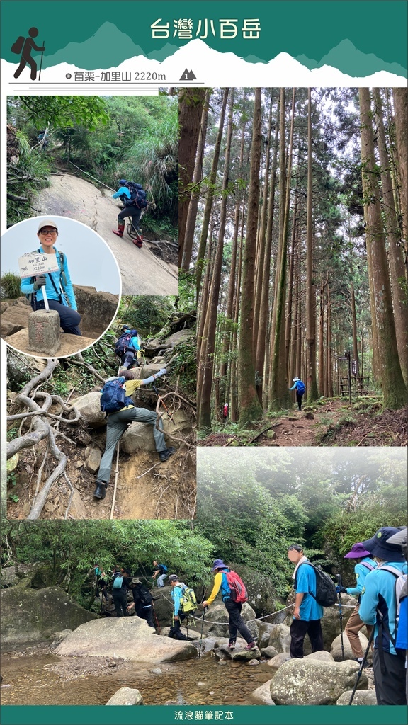 【台灣小百岳】加里山2220公尺.jpg