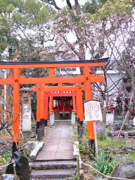 平野神社.JPG