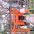 平野神社.JPG