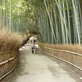 往野宮神社.JPG