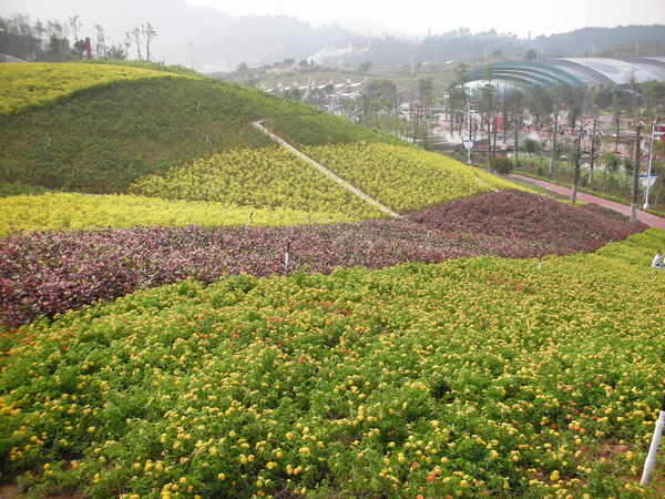 茶溪谷之溼地公園