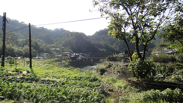 DSC00220.JPG