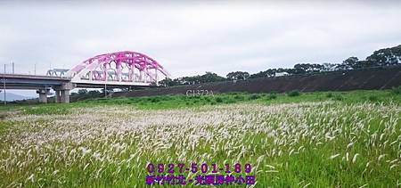 38興隆大橋