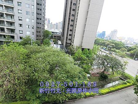 60復興六路高鐵臨路透天別墅