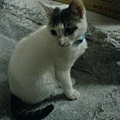 DSC00244.JPG