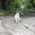 CIMG0581.JPG