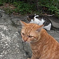 CIMG0587.JPG