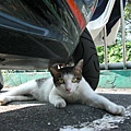 CIMG0807.JPG