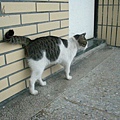 CIMG0641.JPG