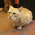 CIMG0645.JPG