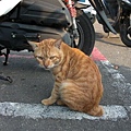 CIMG0755.JPG