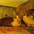 CIMG0767.JPG