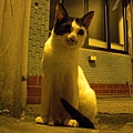 CIMG0772.JPG
