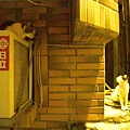 CIMG0777.JPG