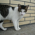 CIMG0785.JPG