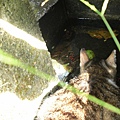 CIMG0832.JPG