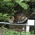 CIMG0835.JPG