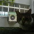 DSC00366.JPG