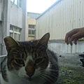 DSC00367.JPG