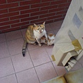 DSC00249.JPG
