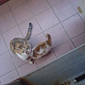 DSC00250.JPG