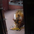 DSC00251.JPG