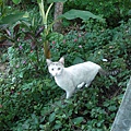 CIMG0036.JPG