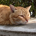 CIMG0251.JPG
