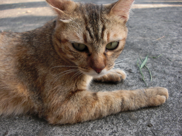 CIMG0254.JPG