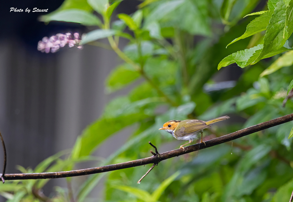 1T3A2703-SharpenAI-Motion.jpg