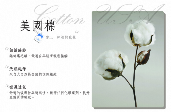 13339145300705069cfab5.jpg 13339145300705069cfab5.jpg