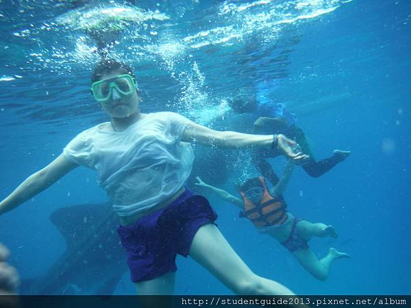 201406- whale shark in Oslob (11)