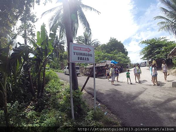 Tumalog Falls (1)