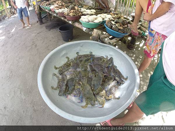 Caohagan island (47)